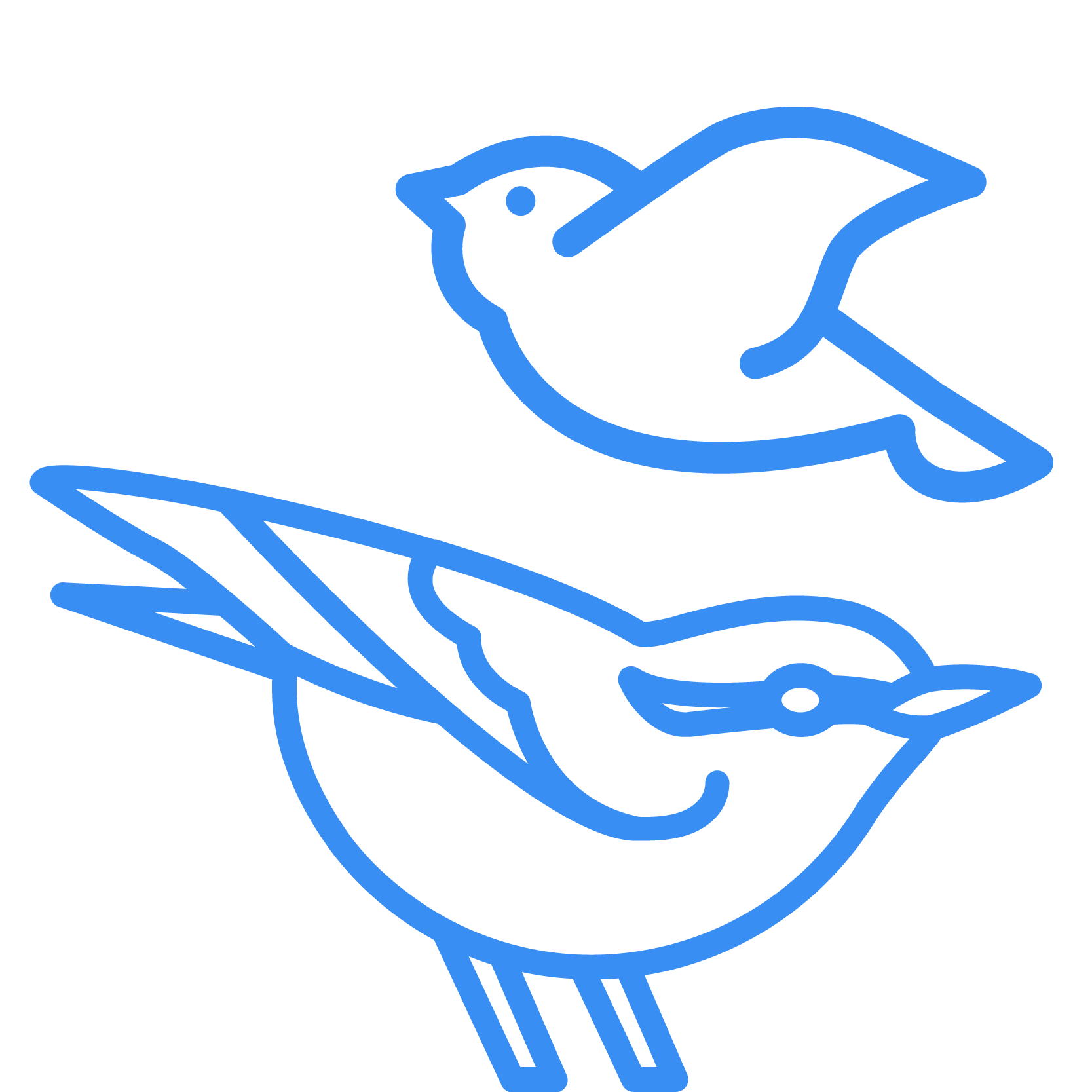 icon of song birds